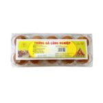 PHÚ AN - Trứng Gà Công Nghiệp - 10 Quả